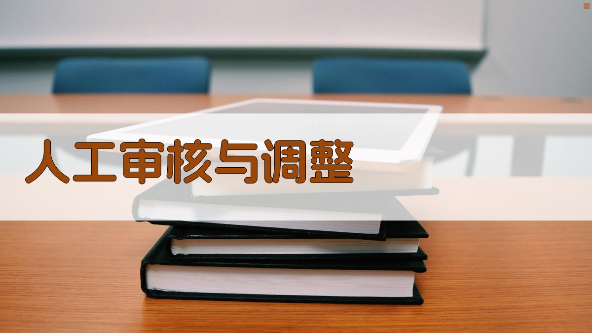 人工审核与调整 图3