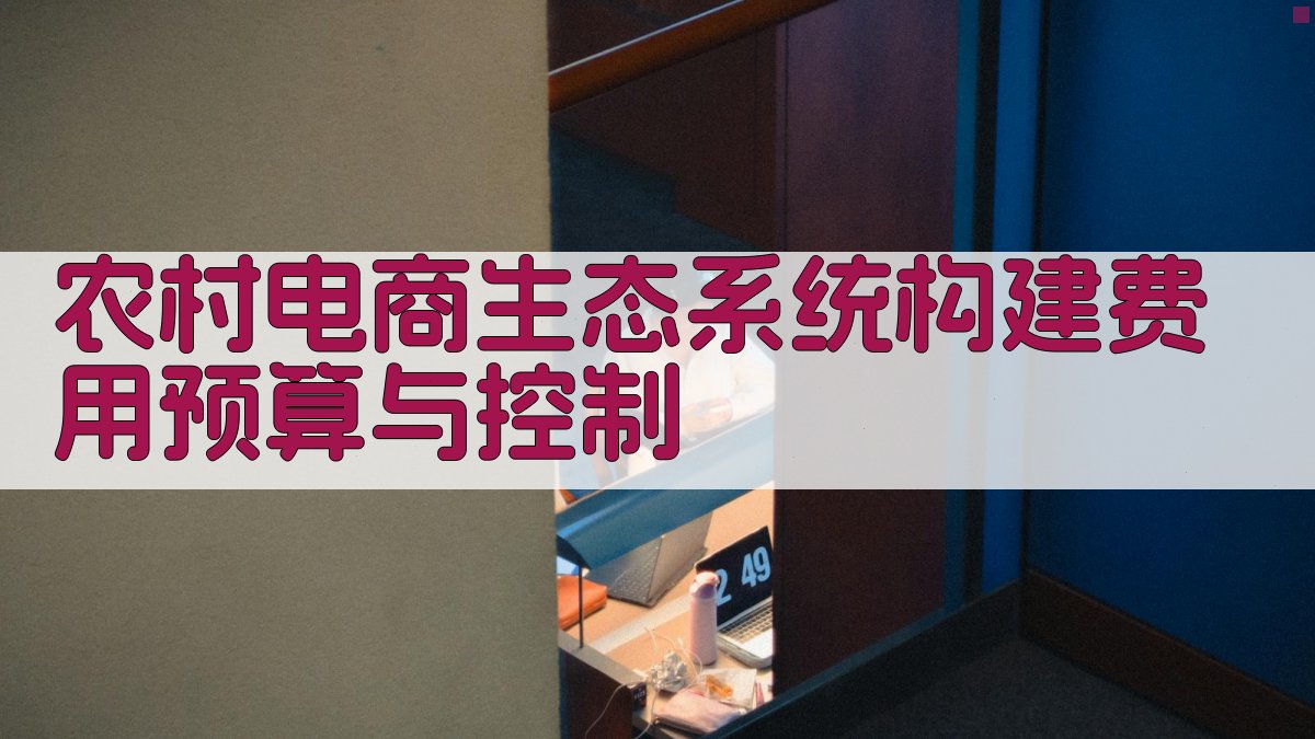 农村电商生态系统构建费用预算与控制 图1