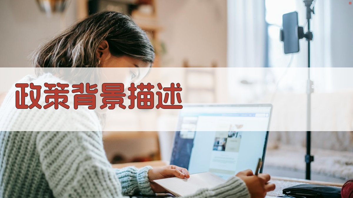 政策背景描述 图1