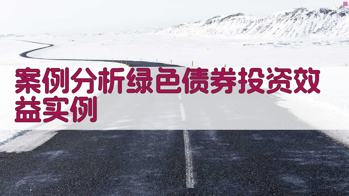 案例分析绿色债券投资效益实例 图2