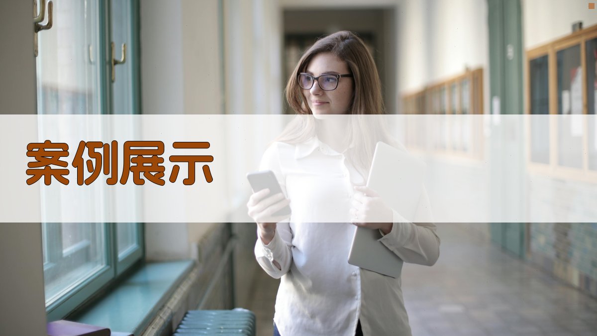 案例展示 图4