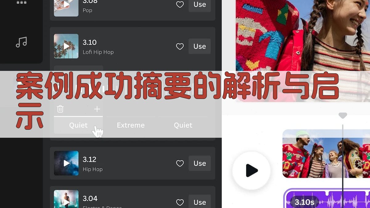 案例成功摘要的解析与启示 图3