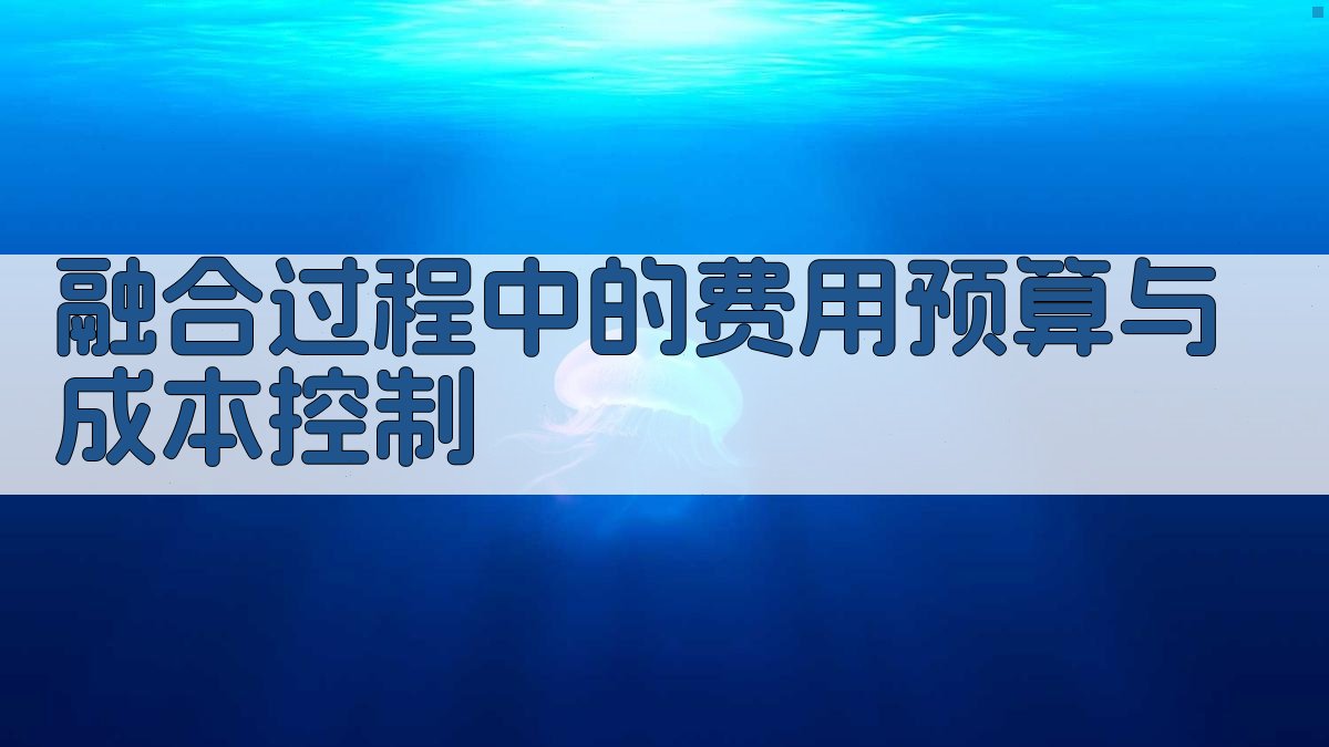 融合过程中的费用预算与成本控制 图3
