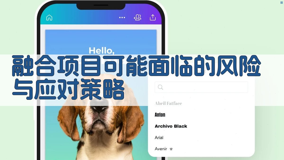 融合项目可能面临的风险与应对策略 图4
