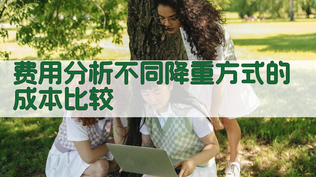 费用分析不同降重方式的成本比较 图2