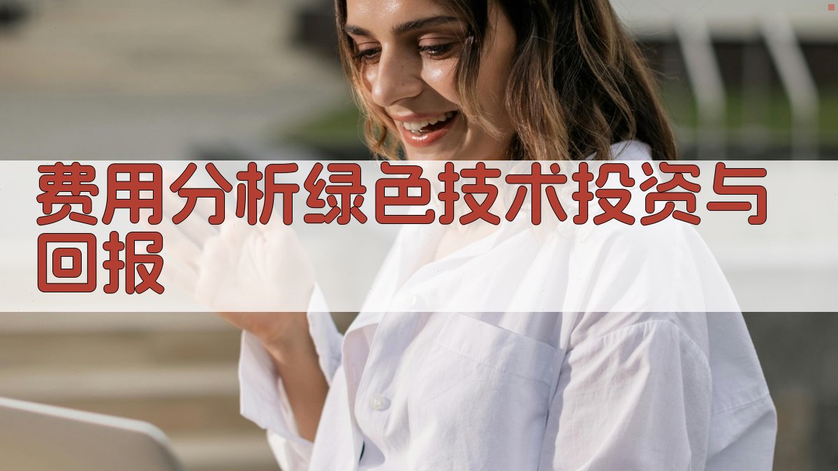 费用分析绿色技术投资与回报 图4