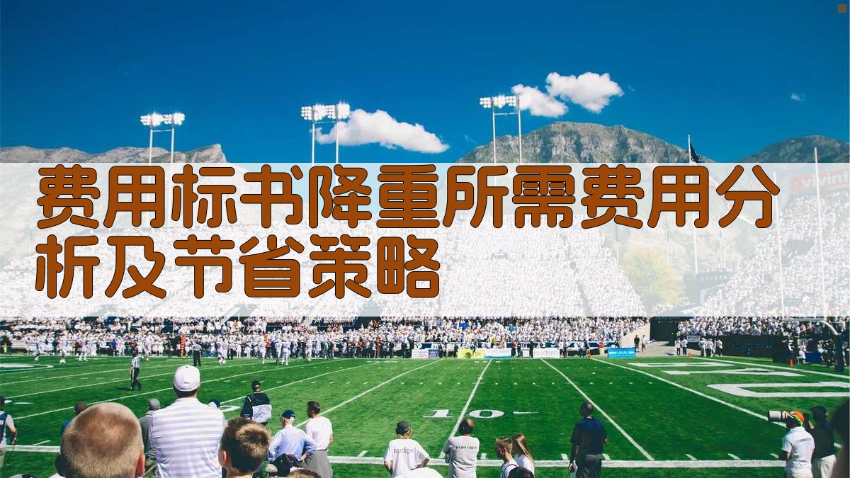 费用标书降重所需费用分析及节省策略 图2