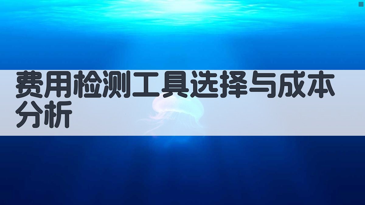 费用检测工具选择与成本分析 图2