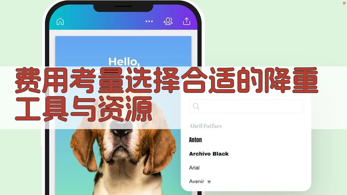 费用考量选择合适的降重工具与资源 图2