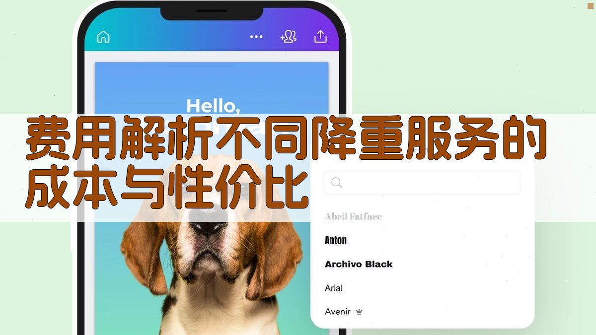 费用解析不同降重服务的成本与性价比 图2