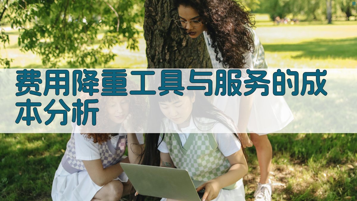 费用降重工具与服务的成本分析 图1