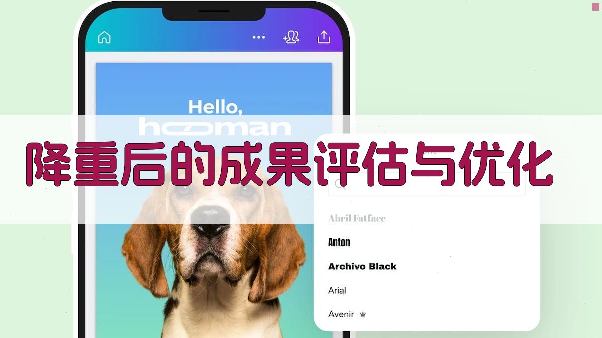 降重后的成果评估与优化 图3