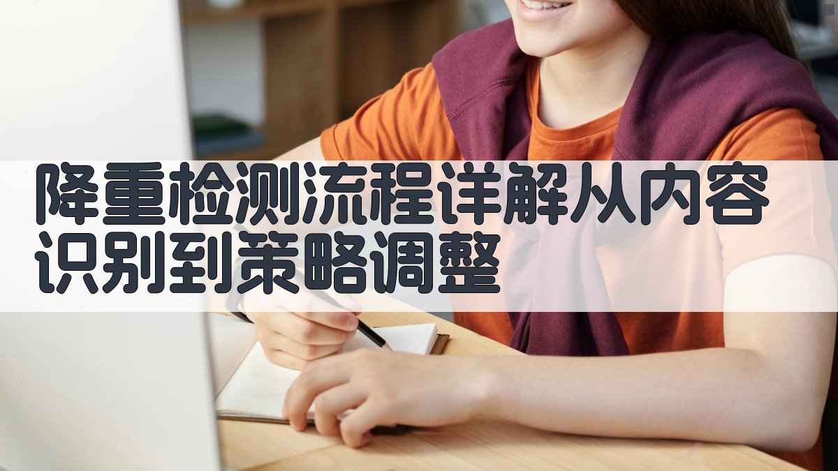 降重检测流程详解从内容识别到策略调整 图2