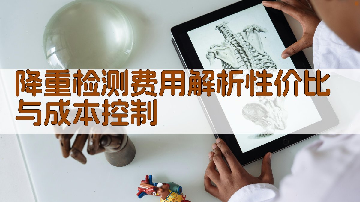 降重检测费用解析性价比与成本控制 图3