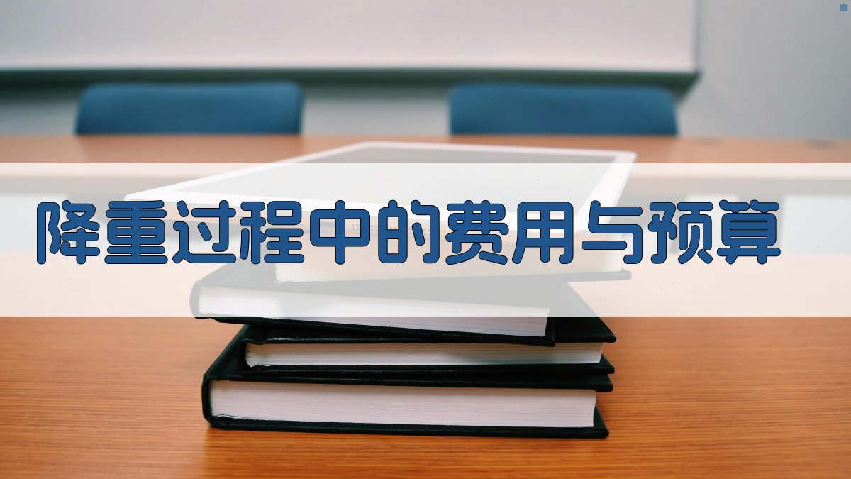 降重过程中的费用与预算 图5