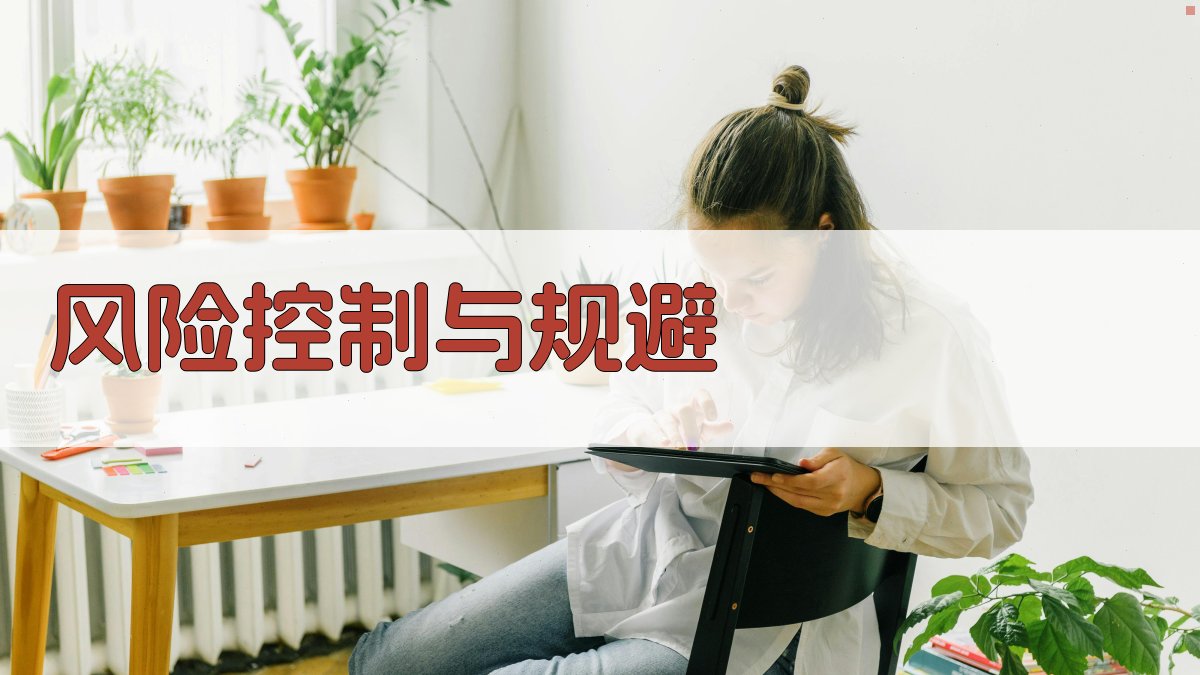 风险控制与规避 图3